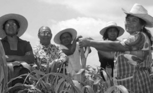 mujer campesina