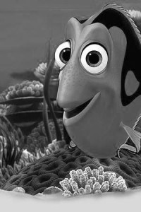 dory